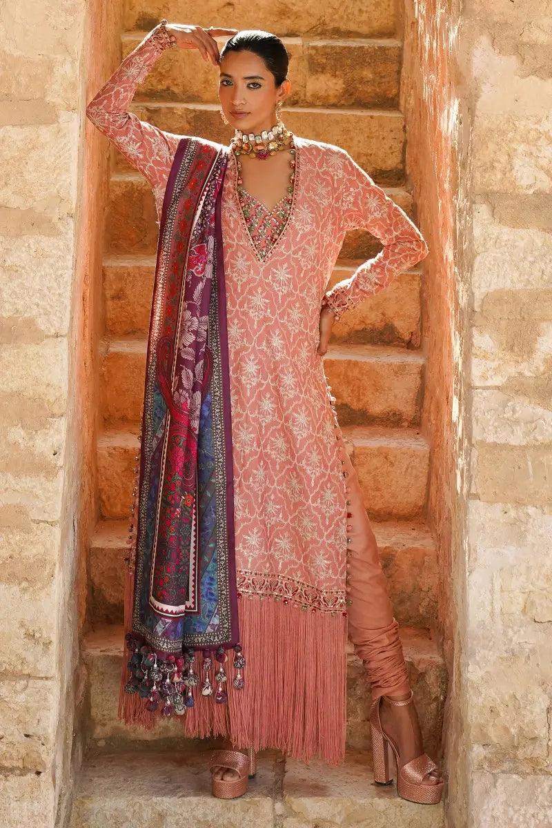 Sana Safinaz | Winter Luxury 23 | S231-002B-CP - Rang-e-Khaas