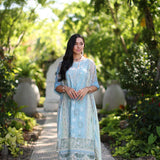 Noor by Saadia Asad | Luxury Chikankari Lawn24 | D2-A Geroze