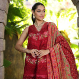 Noor by Saadia Asad | Luxury Chikankari Lawn24 | D12-A Red Chevron