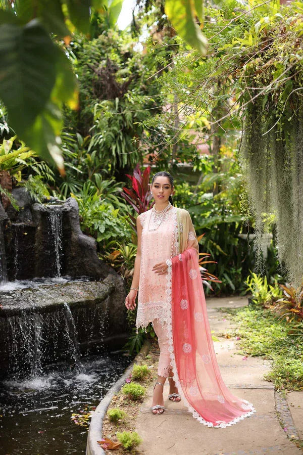 Noor by Saadia Asad | Luxury Chikankari Lawn24 | D7-B Peach Tkm - Rang-e-Khaas