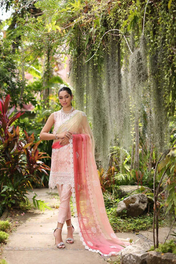 Noor by Saadia Asad | Luxury Chikankari Lawn24 | D7-B Peach Tkm - Rang-e-Khaas