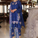 Noor by Saadia Asad | Luxury Chikankari Lawn24 | D10-B Blue Electric