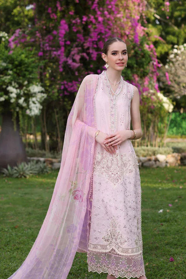 Noor by Saadia Asad | Luxury Chikankari Lawn24 | D11-A Pink Schifli - Rang-e-Khaas