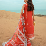 Crimson | Lawn 24 | Stars of Fire - Fiesta Coral