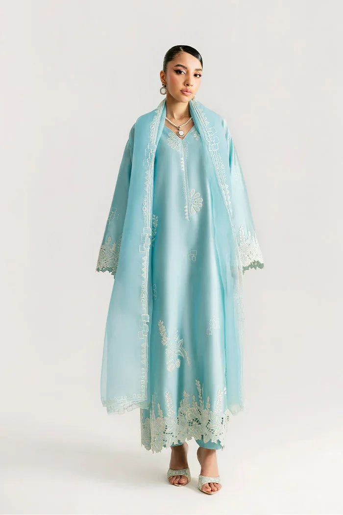 Saira Rizwan | Silk Pret 25 | NERIAH - Rang-e-Khaas