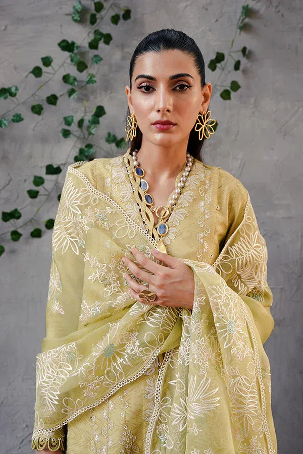 Suffuse | Casual Pret Eid 24 | Zayb - Rang-e-Khaas