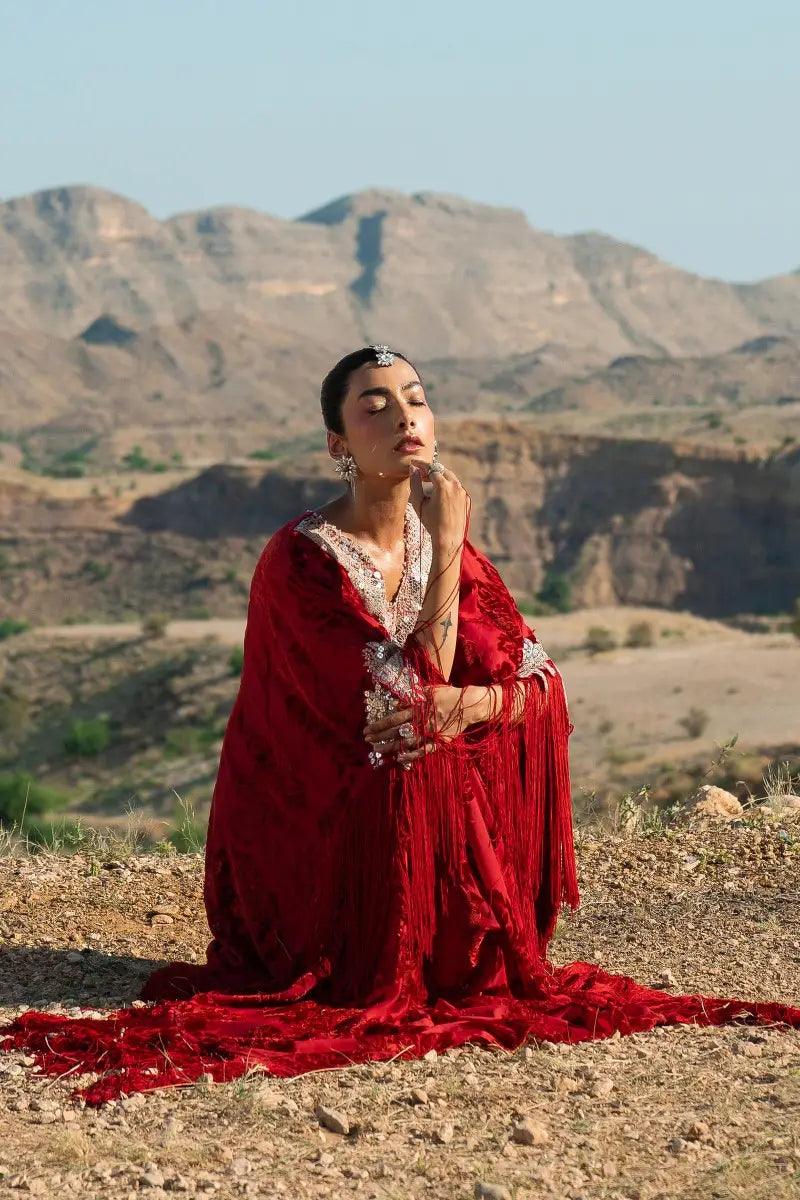 Sana Safinaz | Winter Luxury 23 | V231-001-DD - Rang-e-Khaas