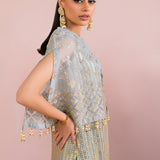 Vanya | Fareesha Formals | FR-09