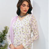 Vintage | Eid Edit 24 | Noor Anarkali