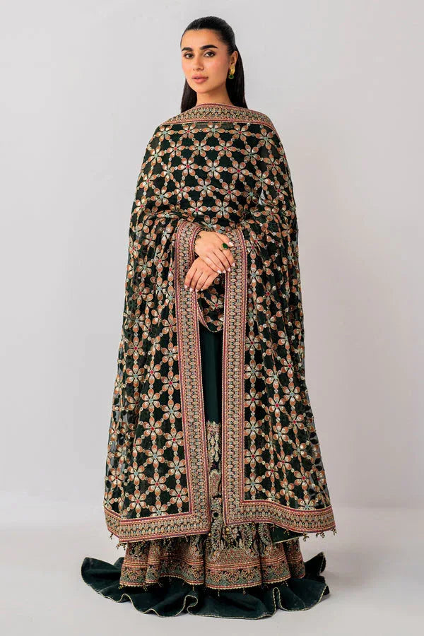 Jazmin | Formals Collection | CHIFFON UC-3053 - Rang-e-Khaas
