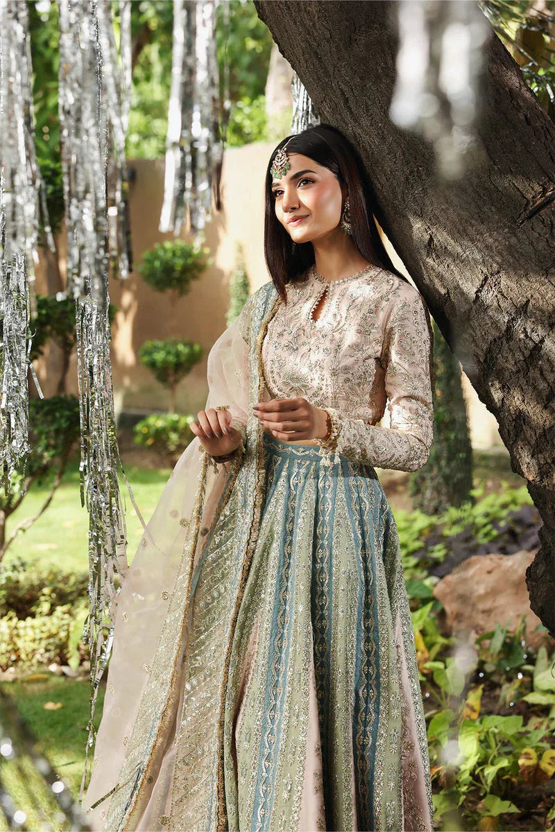 Afrozeh | Dastangoi 25 | Petalhour - Rang-e-Khaas