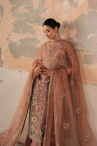 Ayzel | Solaris Wedding Formals 25 | ROSARA - Rang-e-Khaas