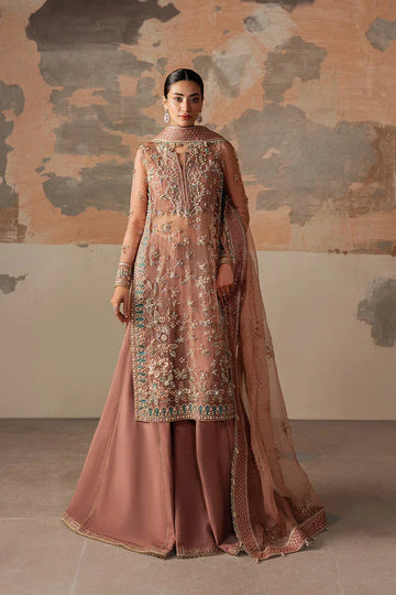 Ayzel | Solaris Wedding Formals 25 | ROSARA - Rang-e-Khaas