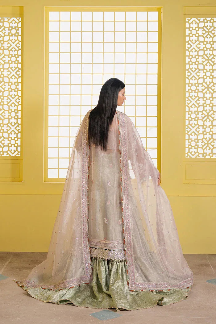 Ayzel | Solaris Wedding Formals 25 | SOLYN - Rang-e-Khaas