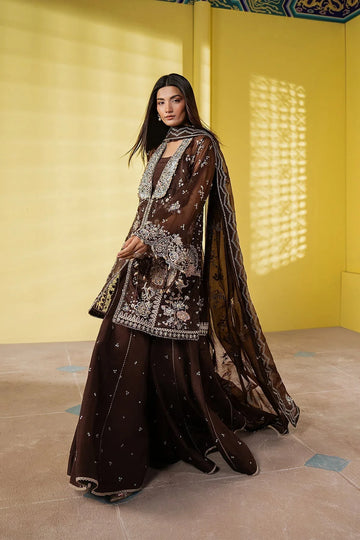 Ayzel | Solaris Wedding Formals 25 | EMBERLYN - Rang-e-Khaas
