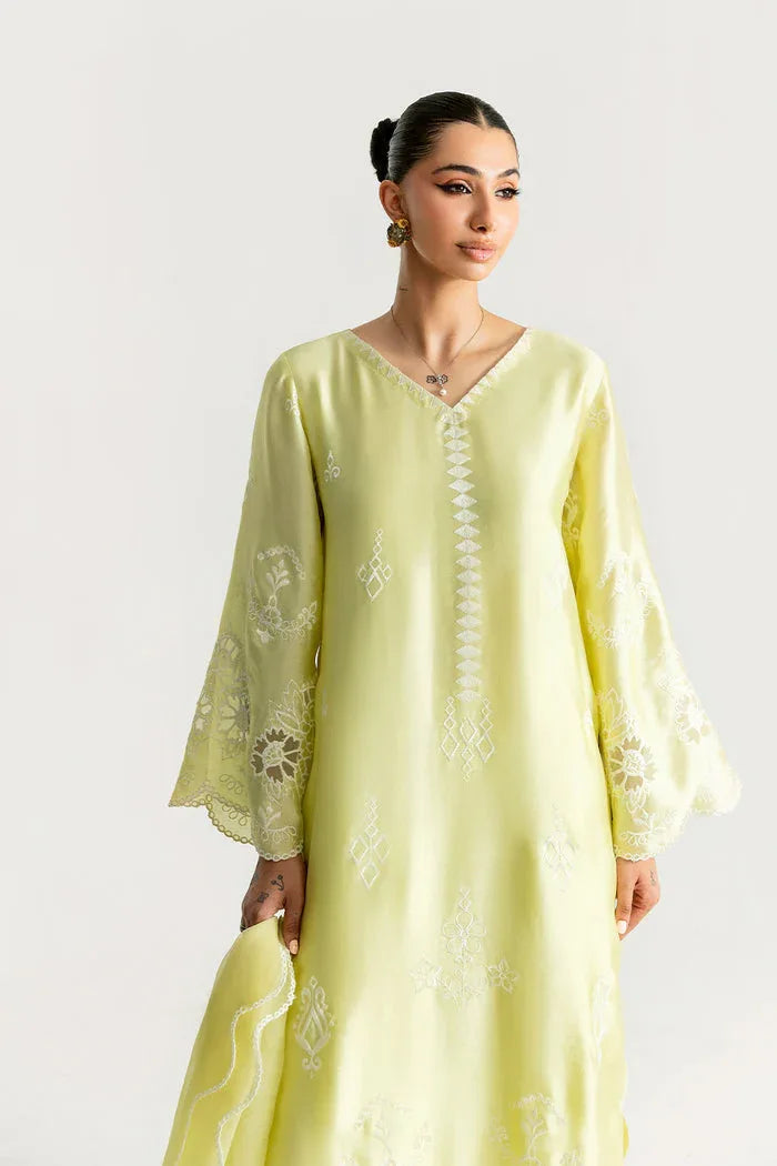 Saira Rizwan | Silk Pret 25 | SAHARA - Rang-e-Khaas